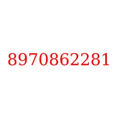 8970862281