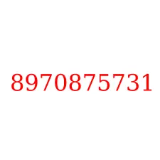8970875731