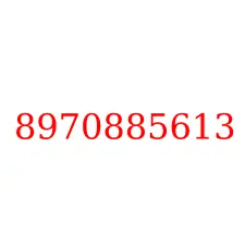 8970885613
