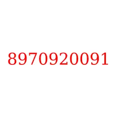 8970920091