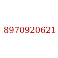 8970920621