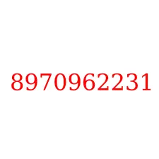 8970962231