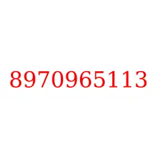 8970965113