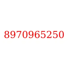 8970965250