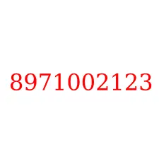 8971002123