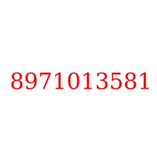 8971013581