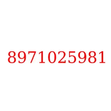 8971025981