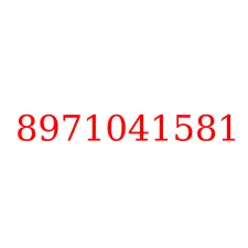 8971041581