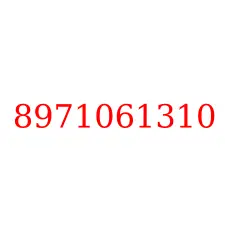 8971061310