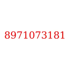 8971073181
