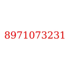 8971073231
