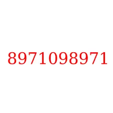 8971098971