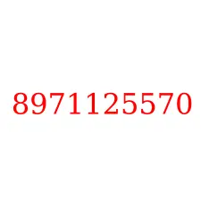 8971125570