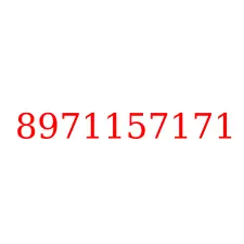 8971157171