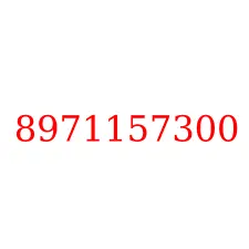 8971157300