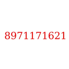 8971171621