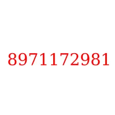 8971172981