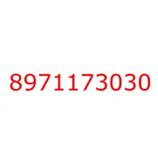 8971173030