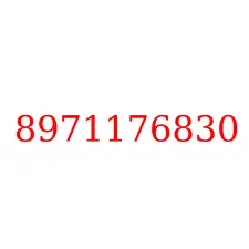 8971176830