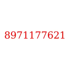 8971177621