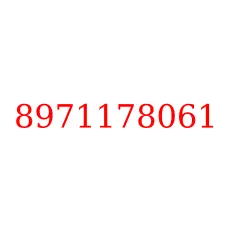 8971178061