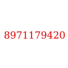 8971179420