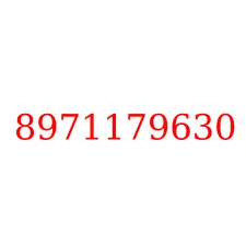 8971179630