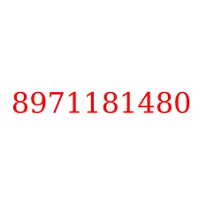 8971181480