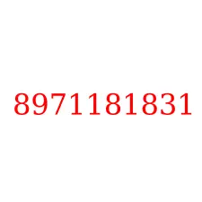 8971181831