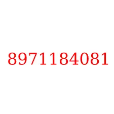 8971184081