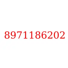 8971186202