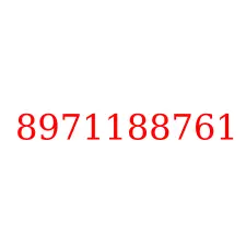8971188761