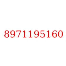 8971195160