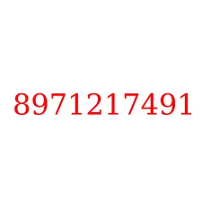 8971217491