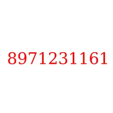 8971231161