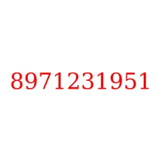 8971231951