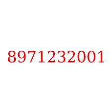 8971232001