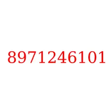 8971246101