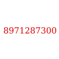 8971287300