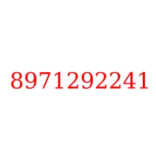 8971292241