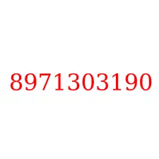 8971303190