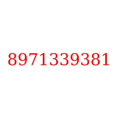 8971339381