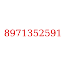 8971352591