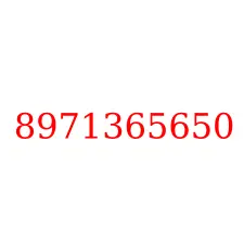 8971365650
