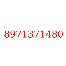 8971371480