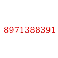 8971388391