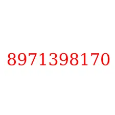 8971398170