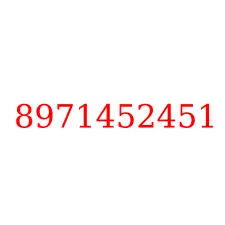 8971452451