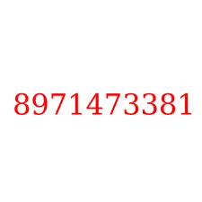 8971473381