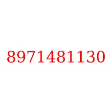 8971481130